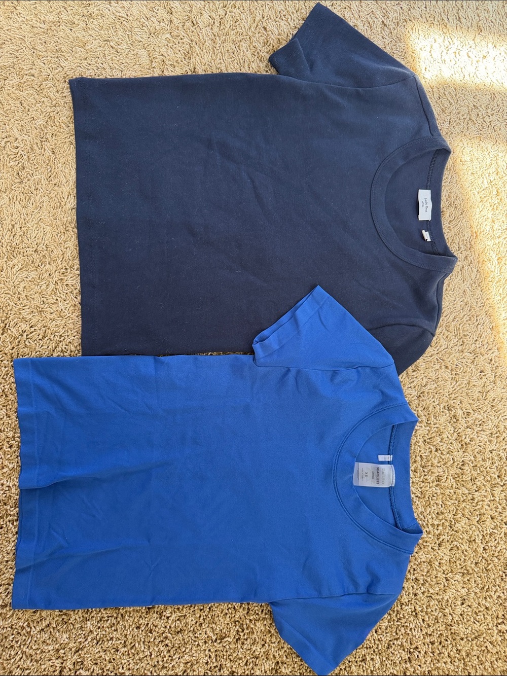 ARITZIA Short Sleeve Crewneck T-ShirtS - Navy & Royal Blue